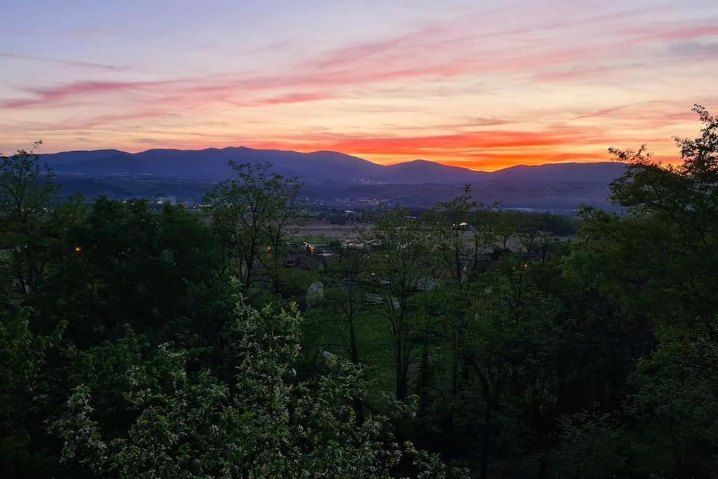 Gite De 70M² Avec Vue Sur Le Massif Du Pilat Clonas-sur-Vareze Extérieur photo