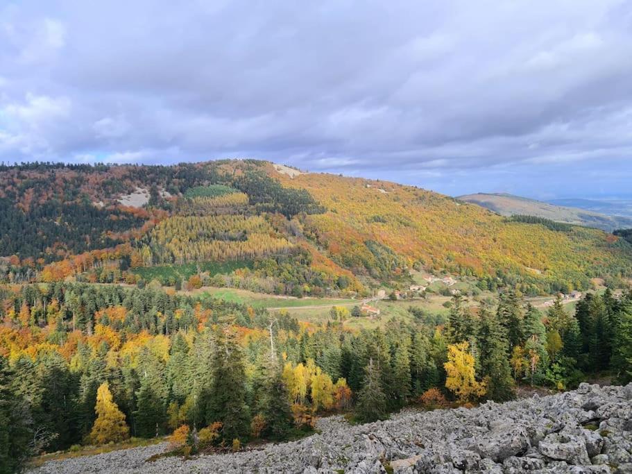 Gite De 70M² Avec Vue Sur Le Massif Du Pilat Clonas-sur-Vareze Extérieur photo
