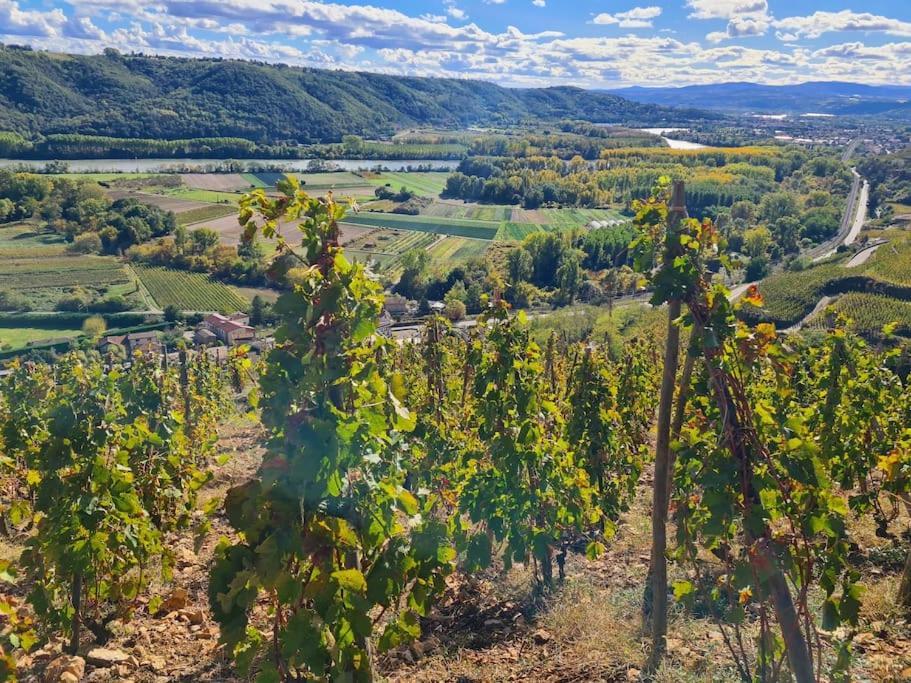 Gite De 70M² Avec Vue Sur Le Massif Du Pilat Clonas-sur-Vareze Extérieur photo