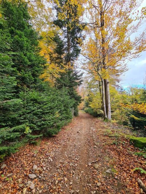 Gite De 70M² Avec Vue Sur Le Massif Du Pilat Clonas-sur-Vareze Extérieur photo