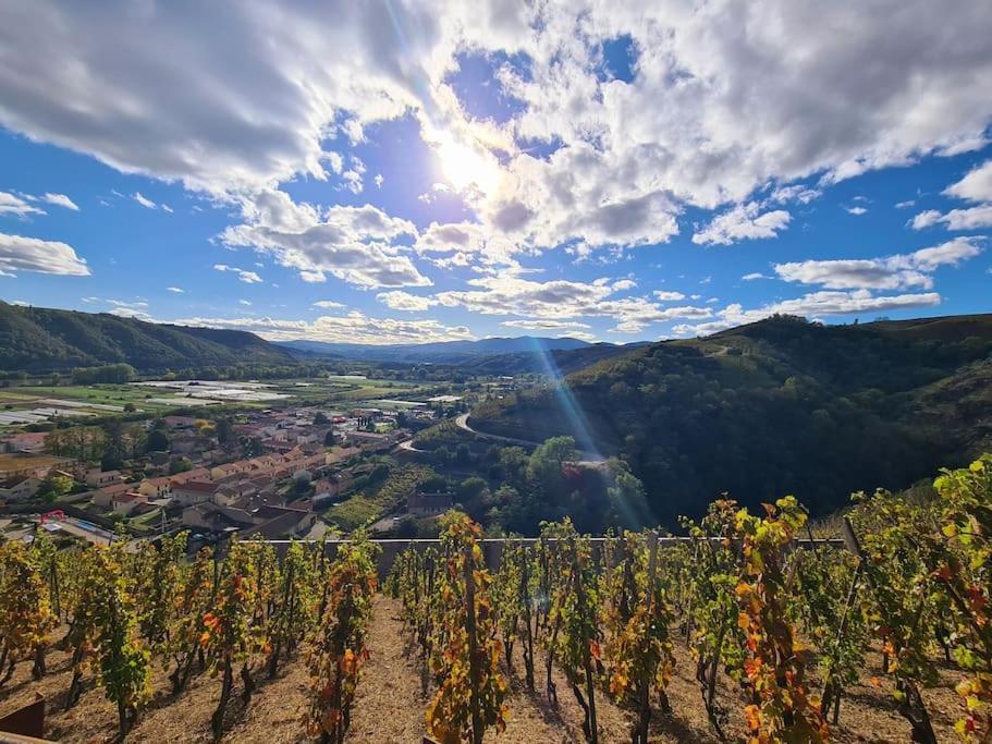 Gite De 70M² Avec Vue Sur Le Massif Du Pilat Clonas-sur-Vareze Extérieur photo
