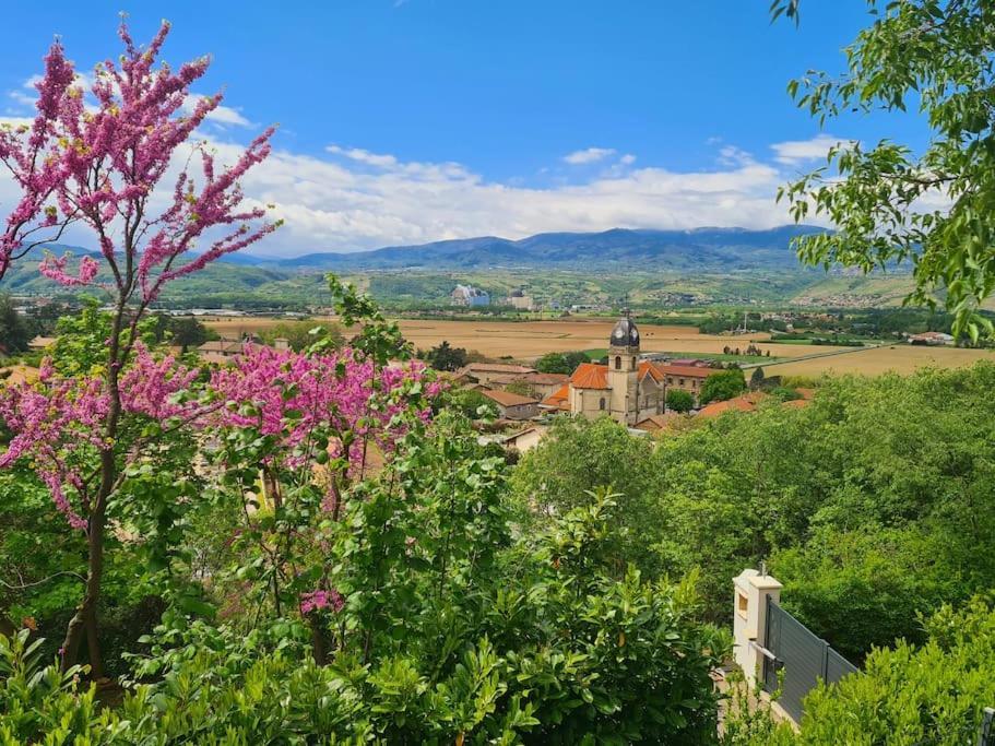 Gite De 70M² Avec Vue Sur Le Massif Du Pilat Clonas-sur-Vareze Extérieur photo